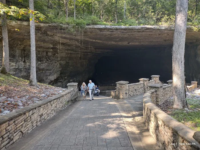 Cathedral Caverns State Park Campground Picture 7