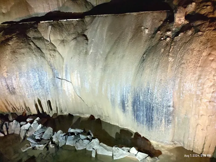 Cathedral Caverns State Park Campground Picture 8