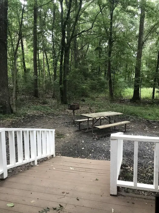 Little Mountain Marina-Camping Picture 1