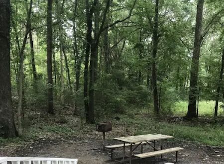 Little Mountain Marina-Camping