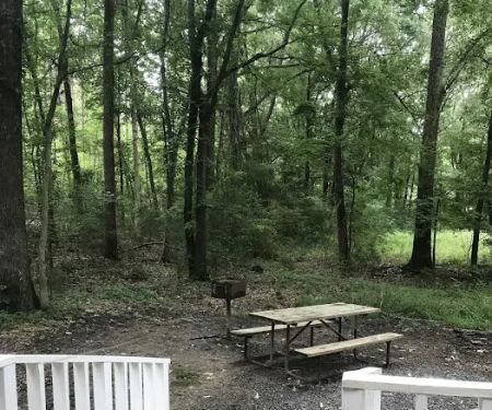Little Mountain Marina-Camping