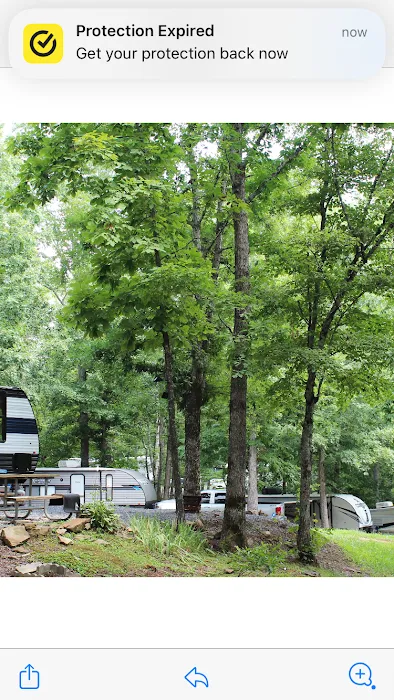 Little River Campground Picture 7