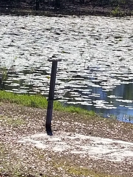 Sunnyside Mobile Home Park Davenport Picture 6