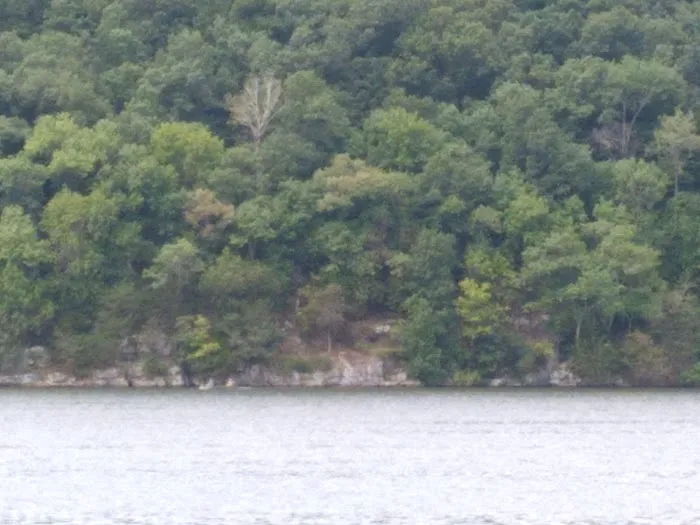 Town Creek Campground Picture 7