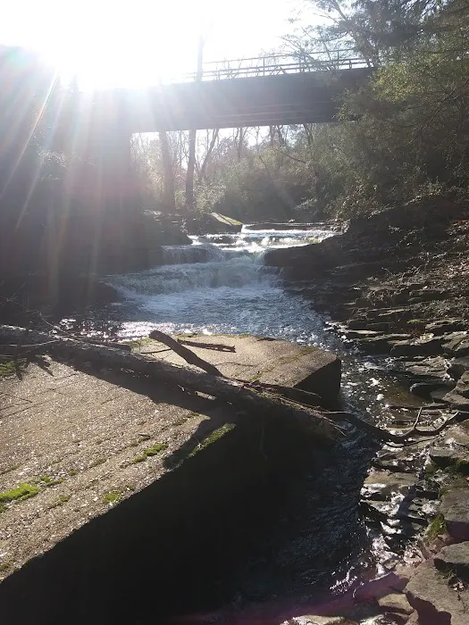 Town Creek Campground Picture 4