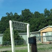 baileys trailer park ico