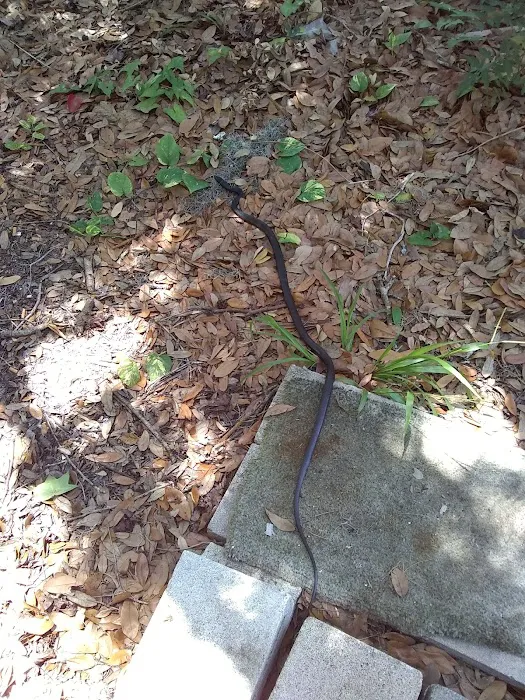 Shady Oaks Mobile Home Park Picture 2