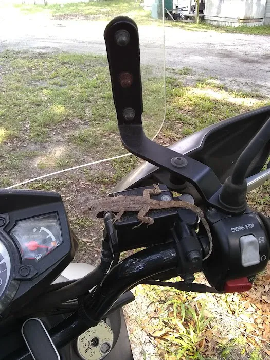 Shady Oaks Mobile Home Park Picture 1