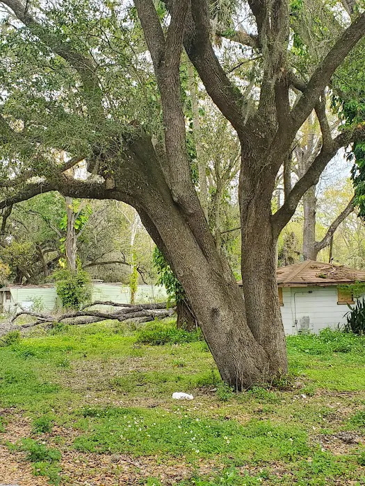 Horse Creek Village Picture 2