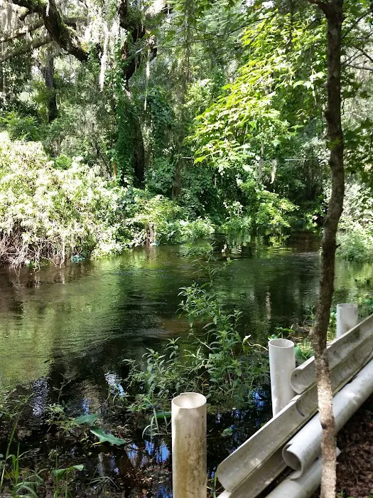 Horse Creek Village Picture 3