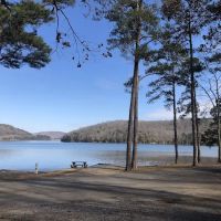 Honeycomb Campground ico
