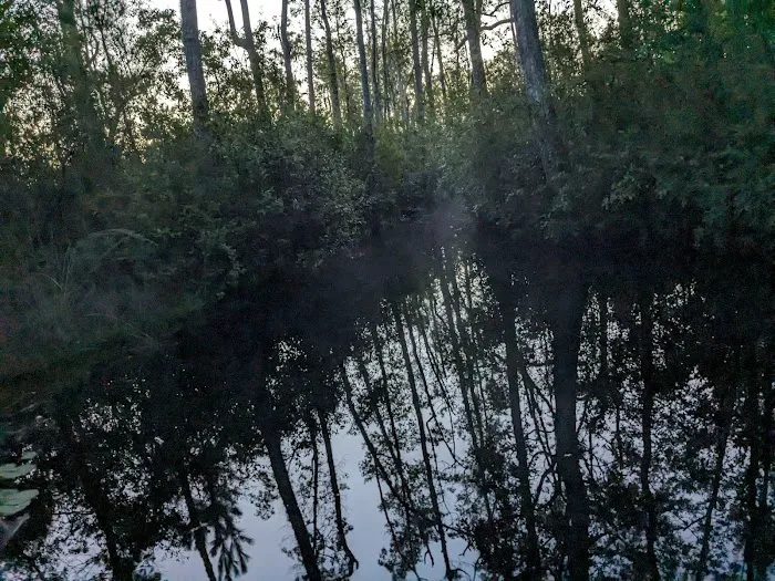 Floyds Island Cabin Picture 4
