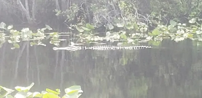 Minnies Lake Canoe Shelter Picture 6