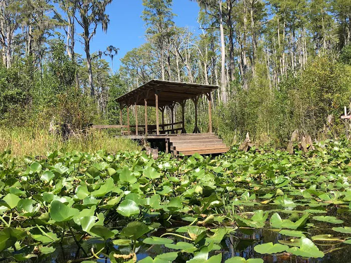 Minnies Lake Canoe Shelter Picture 8