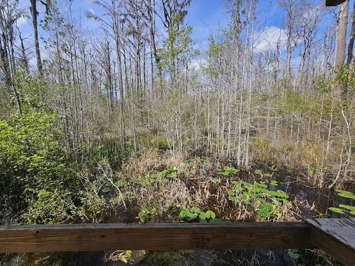 Minnies Lake Canoe Shelter Picture 9