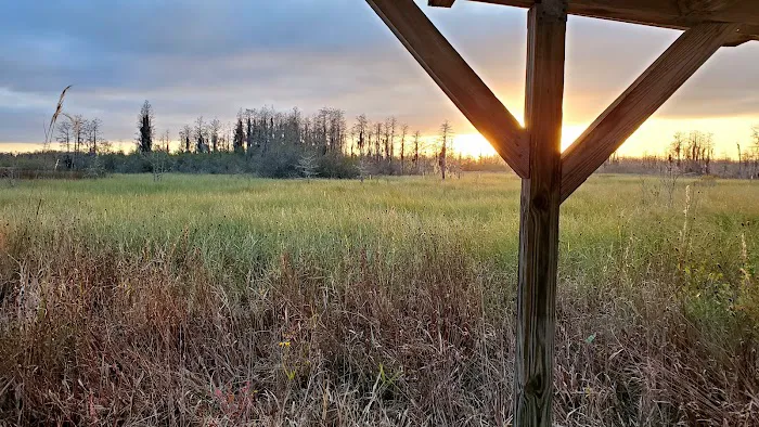 Cedar Hammock Canoe Shelter Picture 2