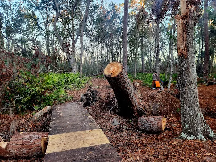 Mixon's Hammock Canoe Shelter Picture 8