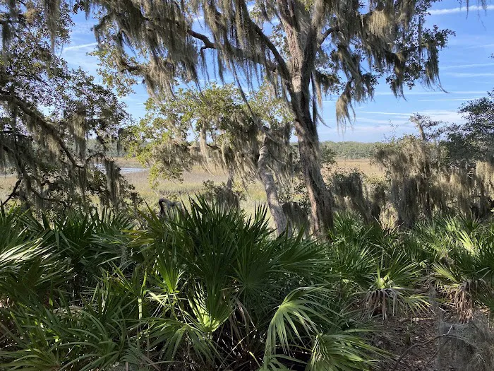 Little Talbot Island Campgrounds Picture 3
