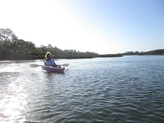 Little Talbot Island Campgrounds Picture 5