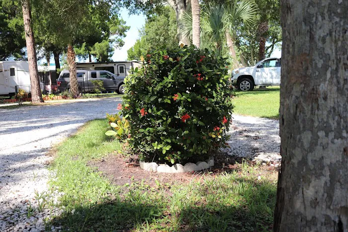 Indian River RV Park Picture 7