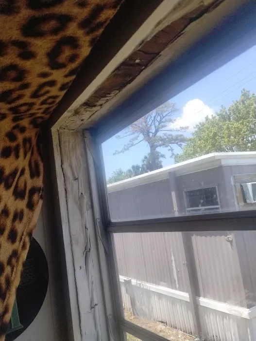 Indian River Mobile Homes Picture 5