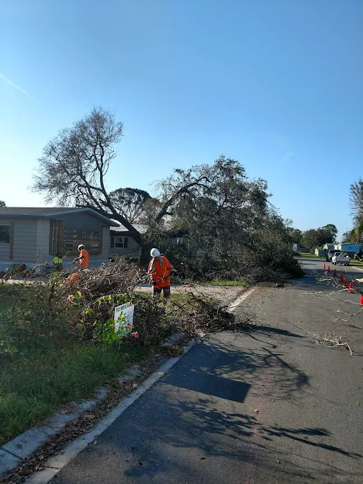 Sun Lake Village Estates Picture 5