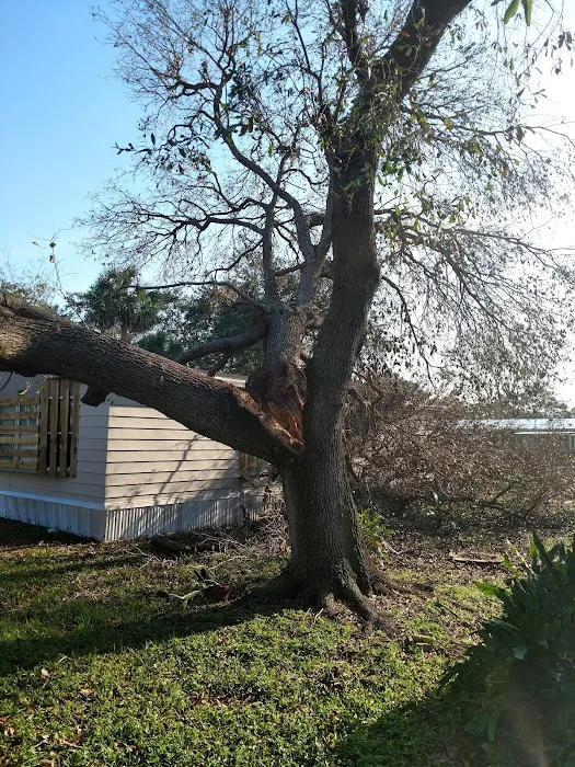Sun Lake Village Estates Picture 7