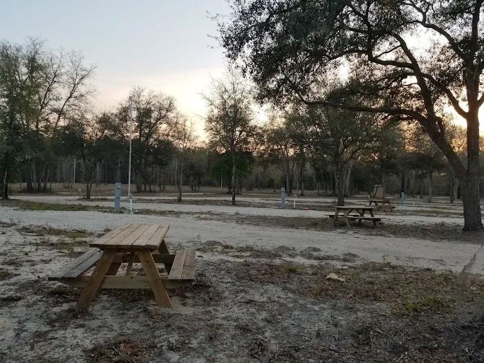 Ohoopee River Campground Picture 10