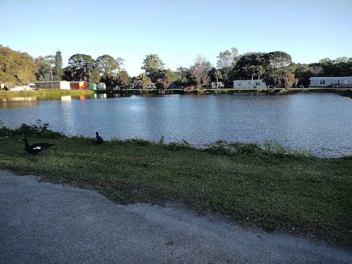 Colony Park Picture 8
