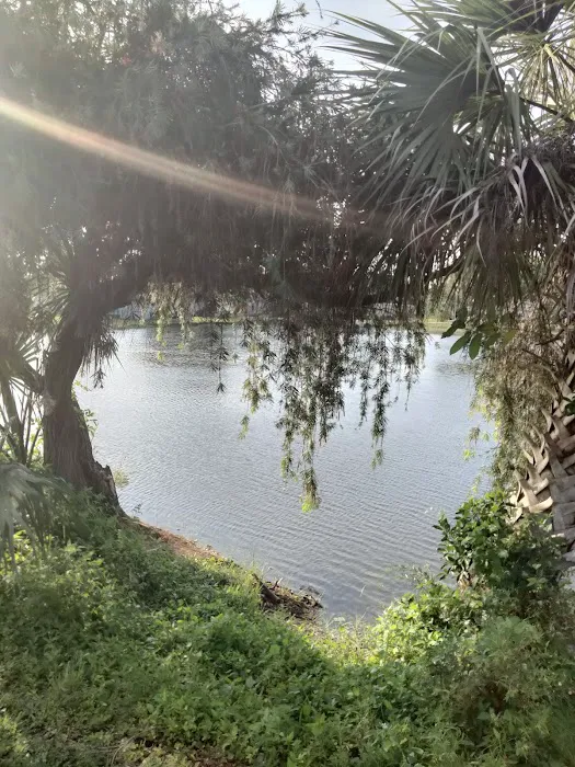 Colony Park Picture 5