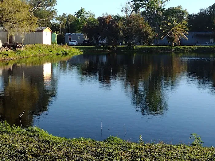 Colony Park Picture 4
