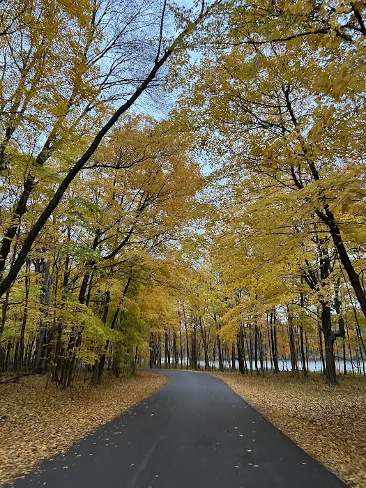 Gander Bay Campground Picture 10