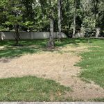 Timbercreek RV Park