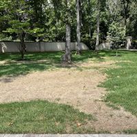 Timbercreek RV Park ico