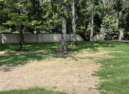 Timbercreek RV Park