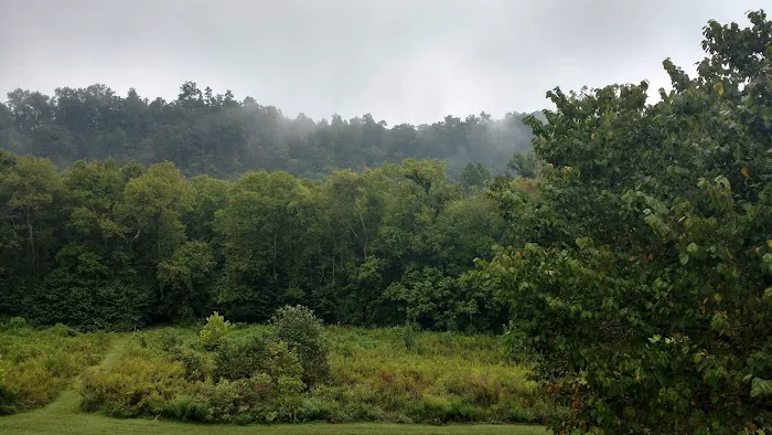 Fall Hollow Campground RV Park And B&B Picture 5