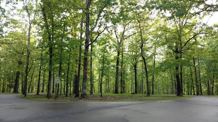 Meriwether Lewis Campground- Natchez Trace Picture 8