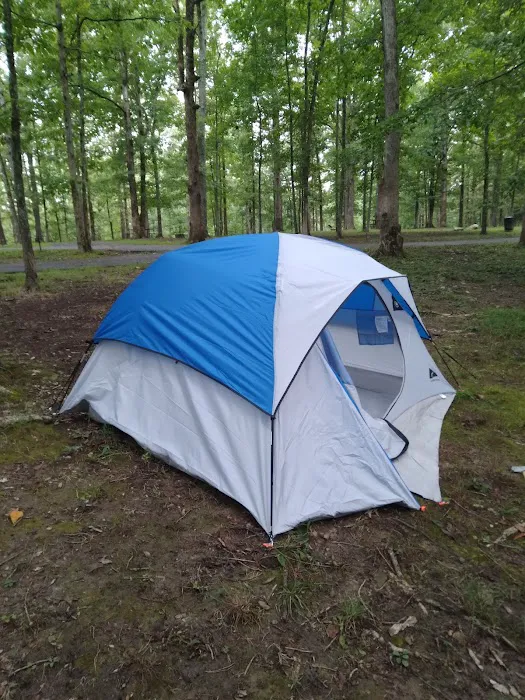 Meriwether Lewis Campground- Natchez Trace Picture 7