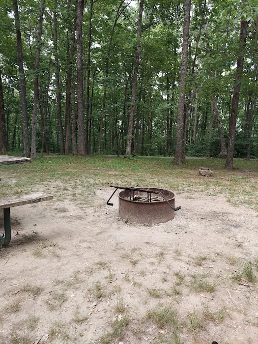 Meriwether Lewis Campground- Natchez Trace Picture 4