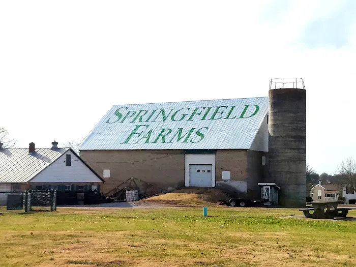 Springfield Farms Picture 7