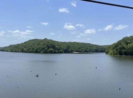 SongBird Campground