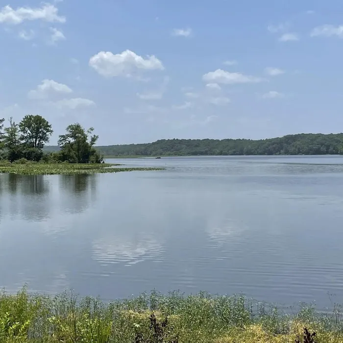 SongBird Campground Picture 6