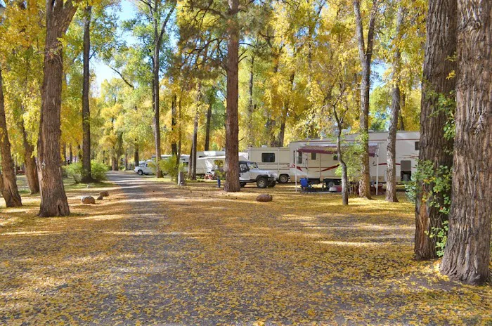 SongBird Campground Picture 8