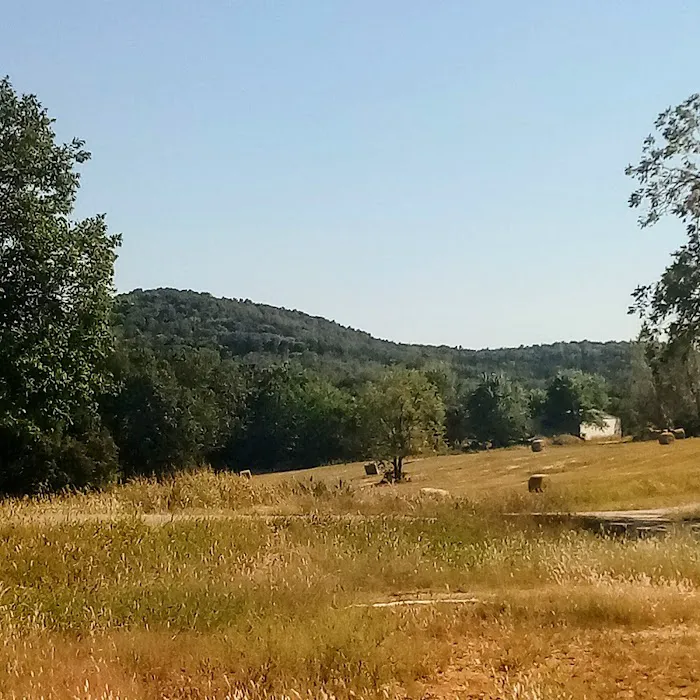 Crazy Daisy's RV Park Picture 2