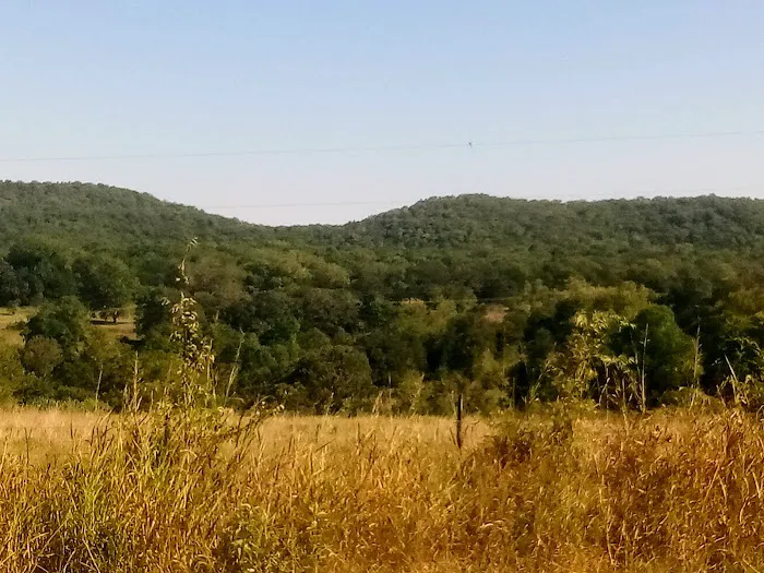 Crazy Daisy's RV Park Picture 4