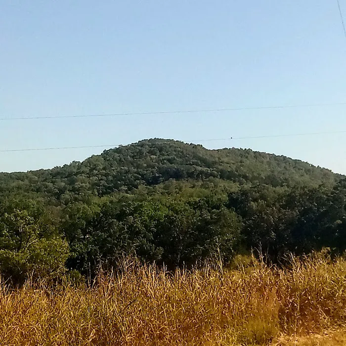 Crazy Daisy's RV Park Picture 5