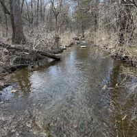 Berryville RV Park ico