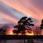 Wanderlust RV Park & Cabins