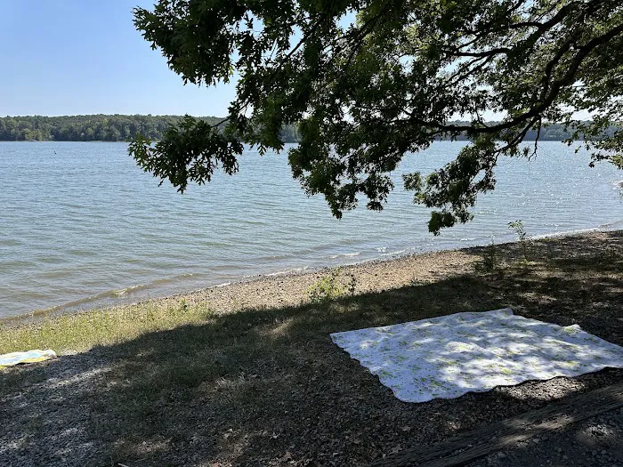 Smith Bay Self-Service Campground & Boat Ramp Picture 9