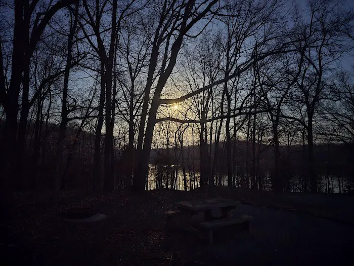 Smith Bay Self-Service Campground & Boat Ramp Picture 3